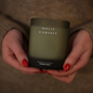 Duftkerze | CONIFER SPICES