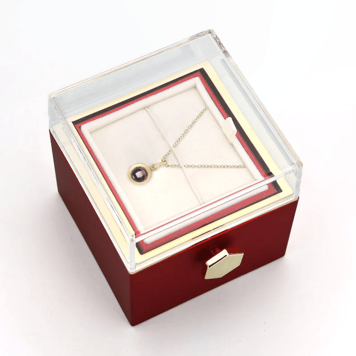 Ewige Rosenbox - Personalisierte Kreis Halskette mit Foto & echte Rose