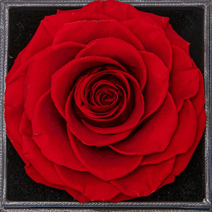 Elegante Rosenbox - Weißgold Ausführung Herz Halskette - An meinen Schatz