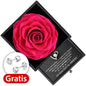 Rosenbox + GRATIS Ohrringe - Weißgold Herz Halskette - An meinen Schatz