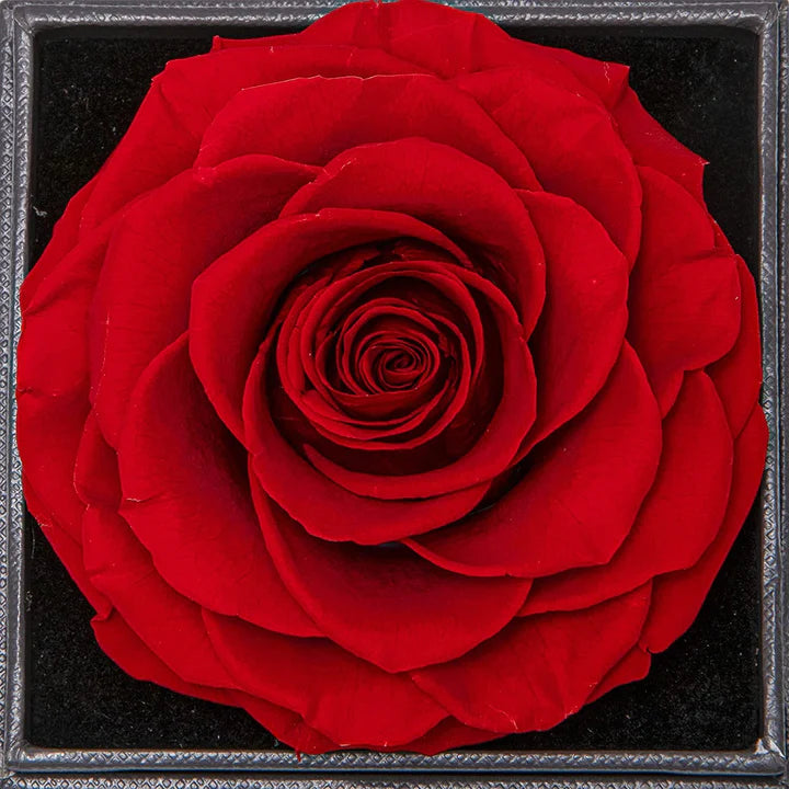 Rosenbox - Weißgold Ausführung Kreis Halskette - An meine Mama - Muttertagsgeschenk