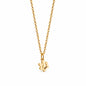 Personalisierter Pfoten-Schmuck