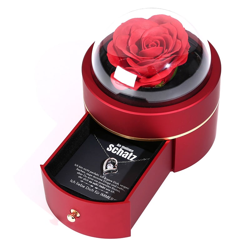 Kuppel Rosenbox - Mit 14k Weißgold Herz Halskette & romantischer Notiz - An meinen Schatz