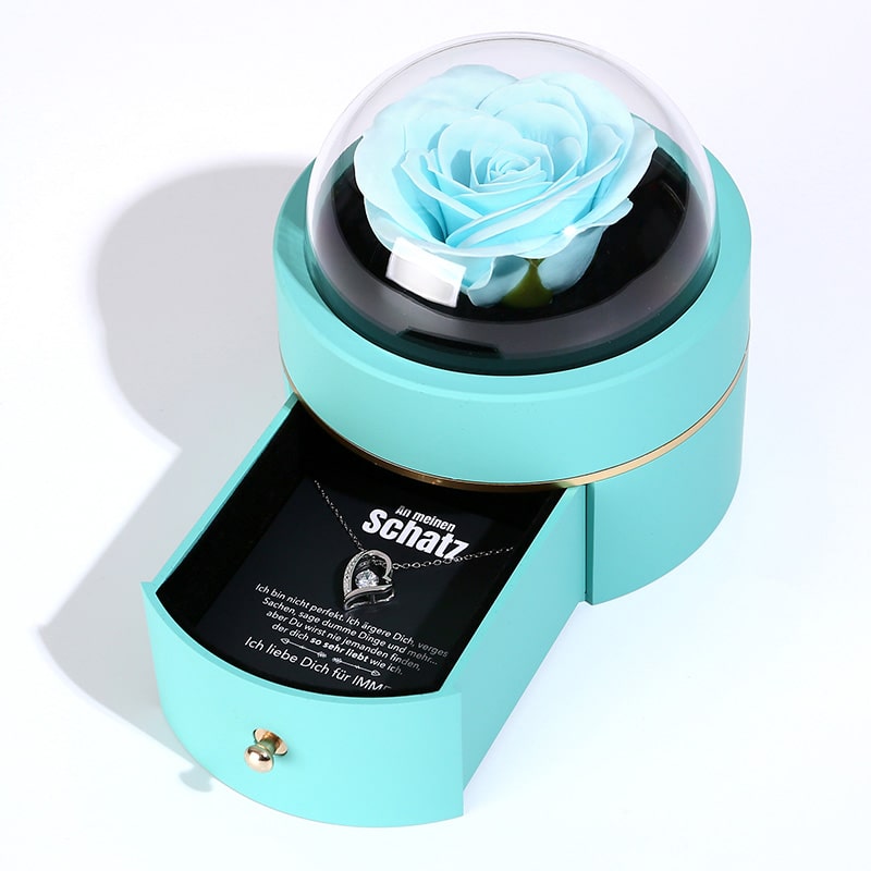 Kuppel Rosenbox - Mit 14k Weißgold Herz Halskette & romantischer Notiz - An meinen Schatz