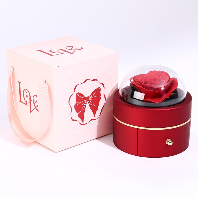 Kuppel Rosenbox - Mit 14k Weißgold Herz Halskette & romantischer Notiz - An meinen Schatz