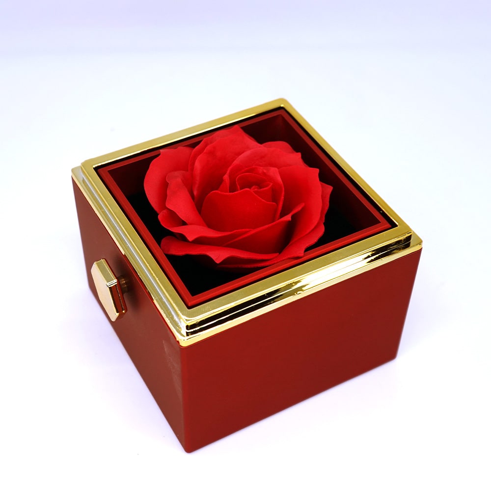 Ewige Rosenbox mit personalisierter Unendlichkeits-Halskette