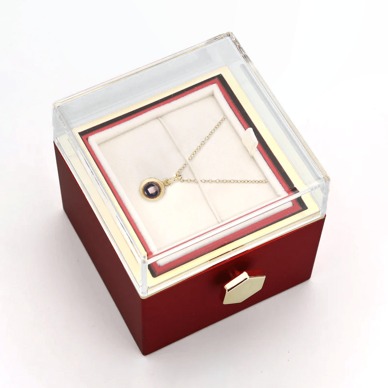 Ewige Rosenbox - Personalisierte Kreis Halskette mit Foto & echte Rose